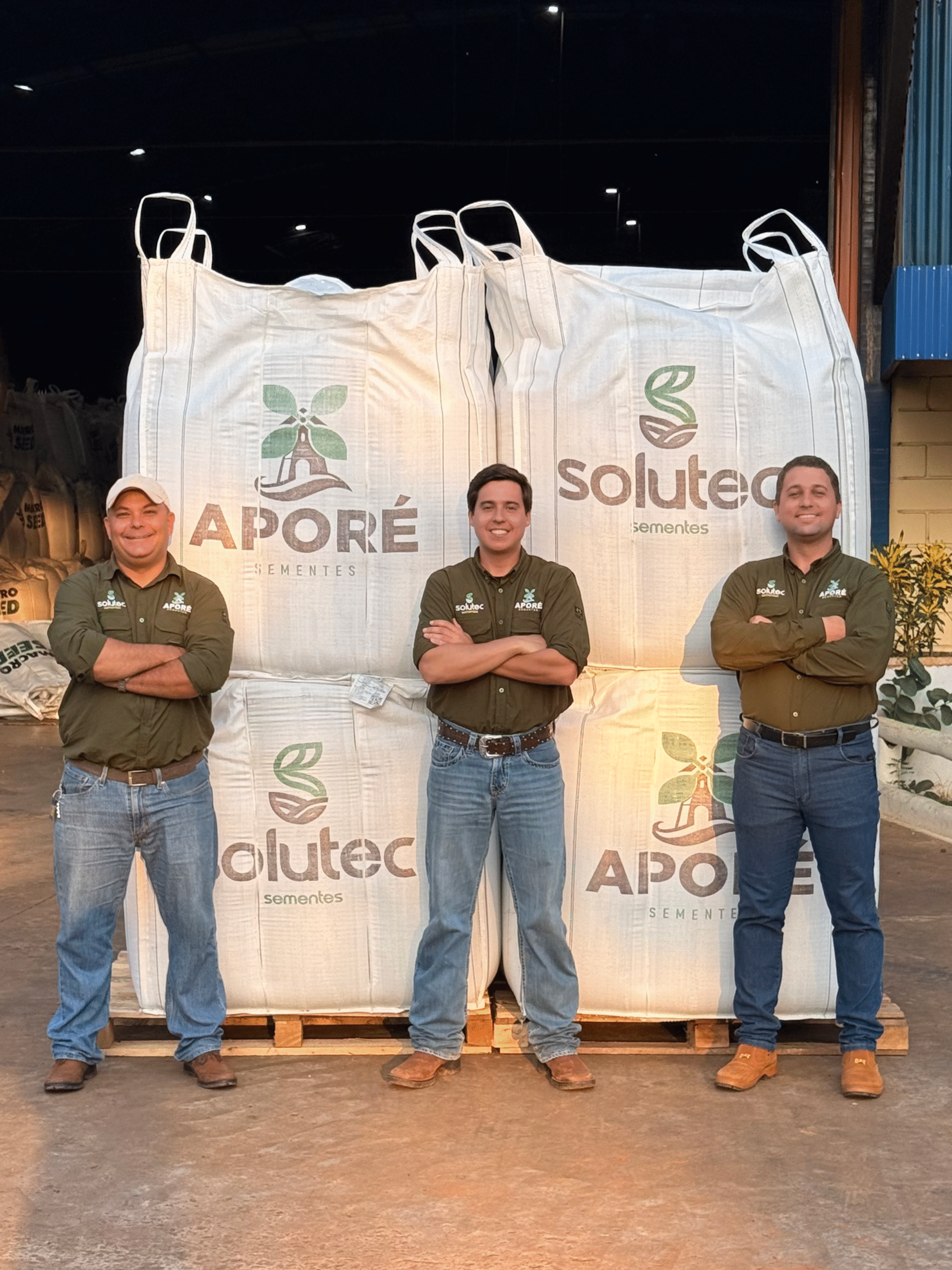 Crotalária-spectabilis-e-brachiária-ruziziensis-(1)_0001_IMG_2016-(1)